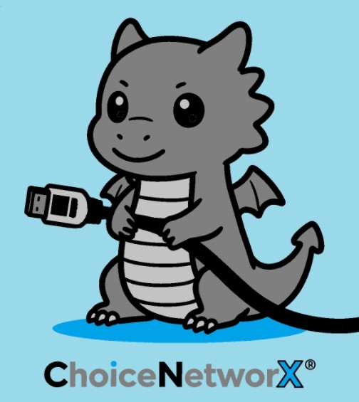 ChoiceNetworX Logo